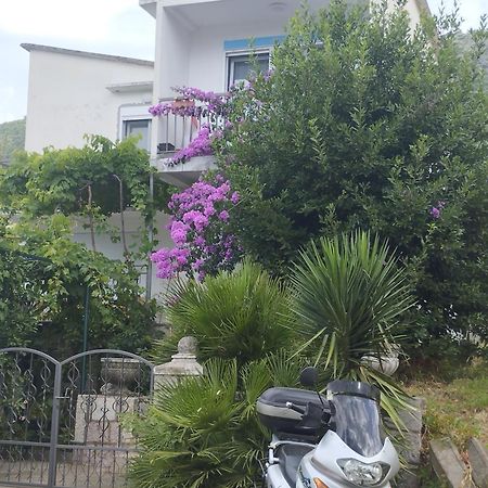 Sobica 2 Lägenhet Petrovac Exteriör bild